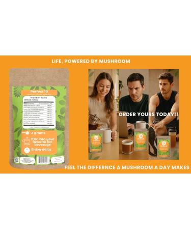 Hongo Mushroom Power - Perfect 10 Mushroom Complex Powder - Lions Mane Reishi Cordyceps Chaga Turkey Tail Maitake Supplements - for Immunity Energy Memory & Focus - (60 Servings) 2.1 Ounce (Pack of 1) - Buy Online on GoSupps.com