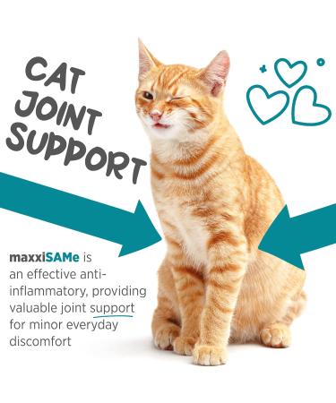 maxxipaws maxxiSAMe Advanced SAM-e Liver and Cognitive Supplement for Cats Given with Food Powder 90 g 90 count (Pack of 1) - Buy Online on GoSupps.com