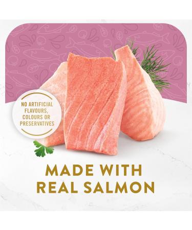 Fancy Feast Classic Broths Cat Food Complement Wild Salmon & Vegetables - 40 g Pouch (16 Pack) Salmon & Vegetables 16 - Buy Online on GoSupps.com
