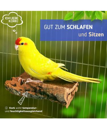 Vogelgaleria Double Pack Cork Care Board 10x10cm - Perfect Accessories Set for Budgies & Nymphensittich | Natural Cork Bird Cage Seating Board - Buy Online on GoSupps.com