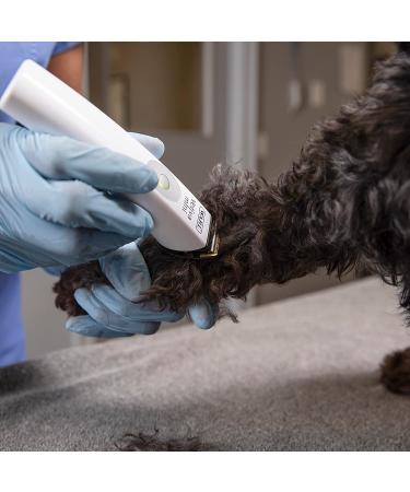 Wahl Vetiva Mini Cordless Veterinary Trimmer and Replacement Blade - Buy Online on GoSupps.com