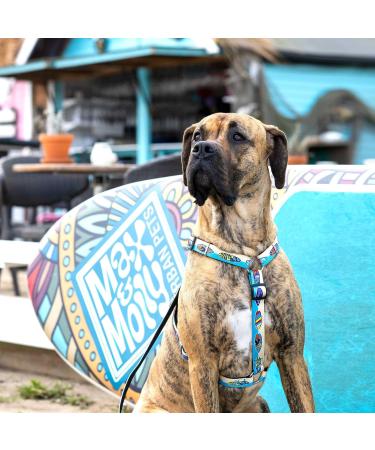 Max & Molly H-Harness - Aloha | Premium Pet Harness for Stylish Dogs | International Shipping Available - Buy Online on GoSupps.com
