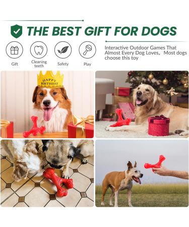 Shop Cvalin Dog Toys for Large Breeds | Aggressive Chew Cubes & Dental Cleaning Stick - Red - Buy Online on GoSupps.com