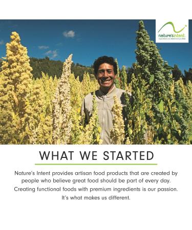 Nature's Intent Organic Dried Pineapple - 4 Pack x 3.5 oz - Healthy Vegan Snack - USDA Organic, Non-GMO, Gluten-Free - Buy Online on GoSupps.com