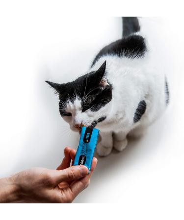 Webbox Lick e Lix Cream with Liver Cat Treats 5 Pieces Case of 17 | Tasty and Nutritious Sachets - Packaging May Vary - Buy Online on GoSupps.com