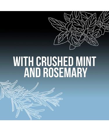 Axe Phoenix Body Wash - Crushed Mint & Rosemary 16 fl oz | Refreshing Men's Shower Gel - Buy Online on GoSupps.com