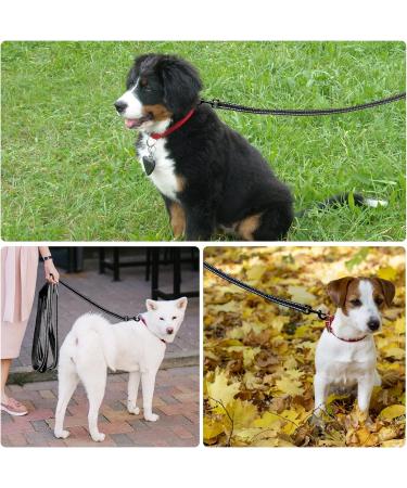 Demigreat Reflective Dog Training Leash - 3m/5m/10m/15m/20m - Padded Handle Robust Long Line for Small to Large Dogs - 5m/16ft Black - Buy Online on GoSupps.com