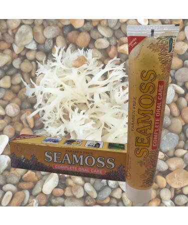 Infinix Seamoss Toothpaste with Clove Tea-Tree Neem Babool and Eucalyptus Oils - Paraben Free & Refreshing Oral Care for Sensitive Teeth - Halal - Pack of 2 - Buy Online on GoSupps.com