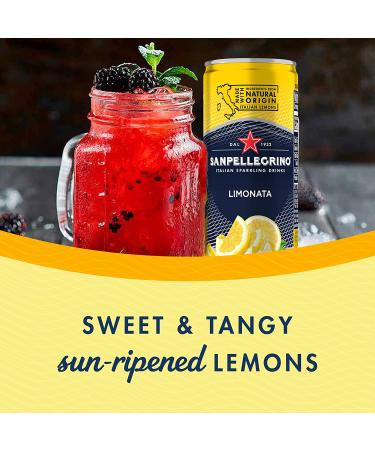 Sanpellegrino Italian Sparkling Drink Limonata  Sparkling Lemon Beverage  24 Pack of 11.15 Fl Oz Cans - Buy Online on GoSupps.com