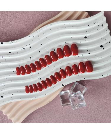 Red Press On Nails - Short Oval & Almond Styles | KQueenest Glossy Acrylic Glue-On Set for All Nail Beds - Buy Online on GoSupps.com