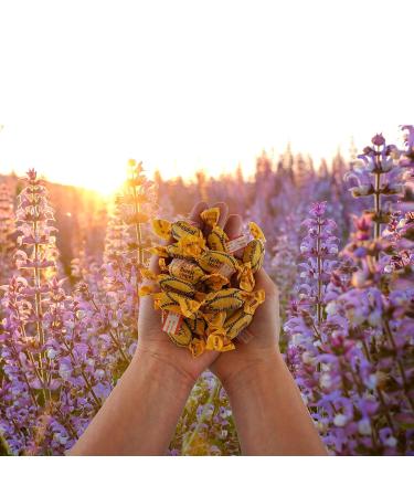 EM-eukal Sage Honey Coughing Candy 75g - Fine Sage Extract Acacia Honey & Vitamin C - Soothing Cough Relief - Buy Online on GoSupps.com