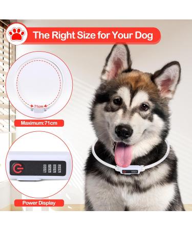 Yordawn Luminous LED Dog Collar - USB Rechargeable Waterproof Adjustable Length 3 Lighting Modes for Small & Medium Dogs and Cats - Enhanced Pet Safety in Red - Buy Online on GoSupps.com