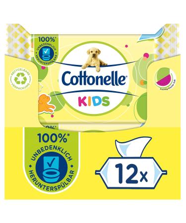 Cottonelle moist toilet paper kids - fruity fresh fragrance biodegradable plastic -free reclaimable advantage pack 12 x 42 wet wipes