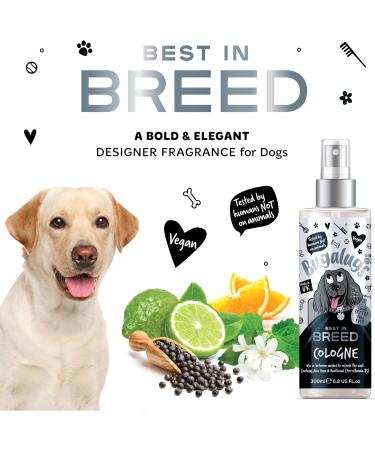 BUGALUGS Dog perfume Breed dog deodorant spray with a Distinctive dog perfume spray fragrance long lasting dog spray for smelly dogs. Essential dog cologne grooming products for dogs 200ml 199 ml (Pack of 1) - Buy Online on GoSupps.com