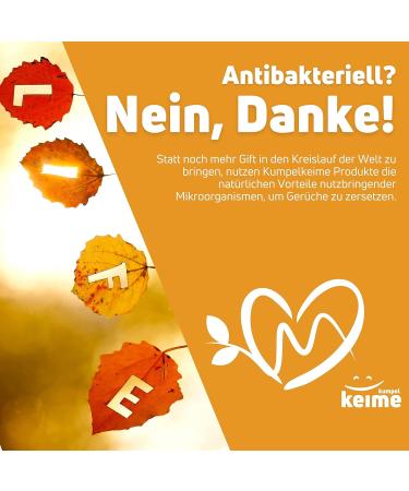 Cream Cheese Schuhdeo Rainbow Pups for Kids | Probiotic Powder Shoe Deodorizer | 6-Month Odor Control for Children s Shoes - Buy Online on GoSupps.com