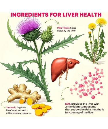 Milk Thistle Liver Detox Gummies: Sugar-Free Milk Thistle Supplement 1000mg with Turmeric NAC and Folate for Liver Cleanse Detox & Repair and Antioxidant Support Non-GMO Gluten-Free Herbal Supplement - Buy Online on GoSupps.com