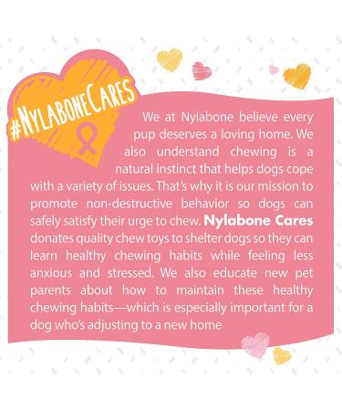 Nylabone Power Chew Breast Cancer Awareness Pink Dog Toy - Chicken Souper Chew - Buy Online on GoSupps.com
