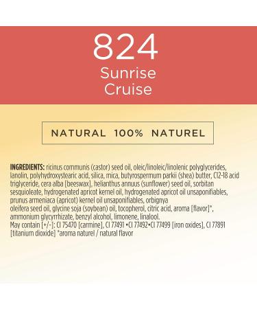 Buy Burt's Bees Sunrise Cruise Liquid Lipstick - 0.21 OZ | International Shipping Available - Buy Online on GoSupps.com