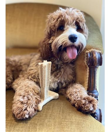Bamboodles T-Bone Chew Toy for Dogs - Small 4" Peanut Butter Flavour for All Breed Sizes - Buy Online on GoSupps.com