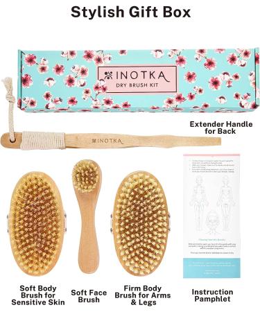 Vegan Dry Brush Set for Cellulite & Lymphatic Drainage - Natural Cactus Bristles - Body & Face Brushing - 4 Piece - Buy Online on GoSupps.com