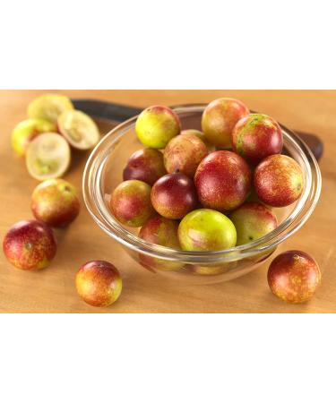 FGO Organic Freeze-Dried Camu Powder 7oz - 100% Raw from Brazil - Resealable Kraft Bag - Buy Online on GoSupps.com