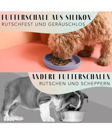 Buy Silicone NE & NO Food Bowl for Small Dogs & Puppies | Wide Travel Bowl for Dry & Wet Food | Purple Camping Water Bowl - Buy Online on GoSupps.com