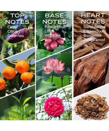 Hotel Scents Elegant Charisma 10ML - Luxurious Cedarwood & Sandalwood Diffuser Oil Inspired by Shangri-La | Premium Aromatherapy Fragrance for Home - Buy Online on GoSupps.com