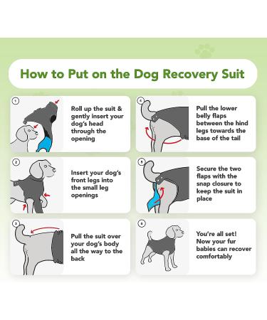 Buy Suitical Recovery Suit for Dogs - M+ Size in Black | Ideal Post-Surgery Pet Wear - International Shipping Available - Buy Online on GoSupps.com