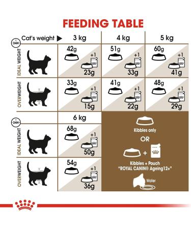 ROYAL CANIN Ageing 12+ Cat Food 2 kg 2 kg (Pack of 1) - Buy Online on GoSupps.com