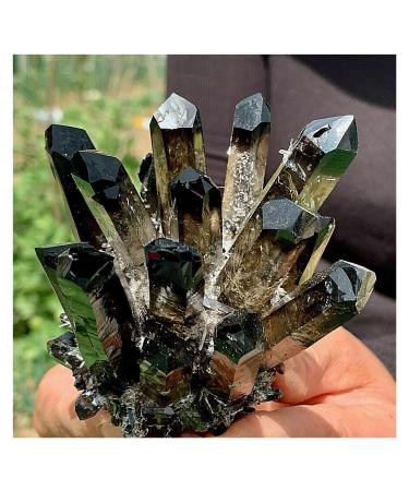 Natural Crystal Rough Crystals 1pc Black Phantom Quartz Crystal Cluster (Size : 900-1000g)