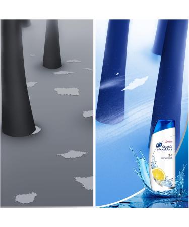 Head & Shoulders Citrus Fresh 2 in 1 Anti-Dandruff Shampoo 450 ml - Buy Online on GoSupps.com