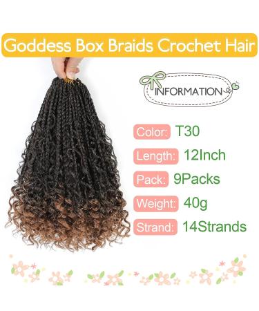 Fulcrum Goddess 12 Bohemian Crochet Box Braids - 9 Packs Pre-Looped Box Braids for Black Women - Curly Ends - T30 - Buy Online on GoSupps.com