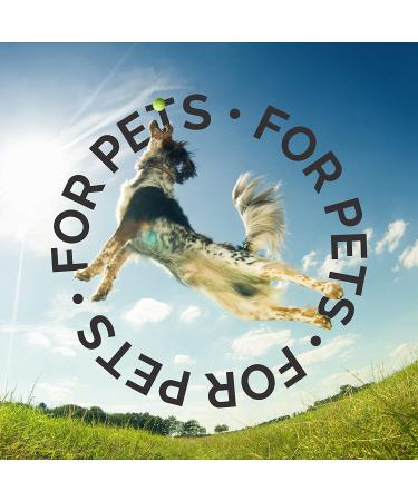 Bark2Basics Wild Berry Dog Shampoo 16 oz - Herbal Blend for Dry Itchy Skin - Gentle & Moisturizing - Buy Online on GoSupps.com