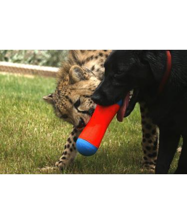 Chuckit! CH184301 Tumble Bumper Large - Durable Dog Toy for Fetch & Play | International Shipping Available - Buy Online on GoSupps.com