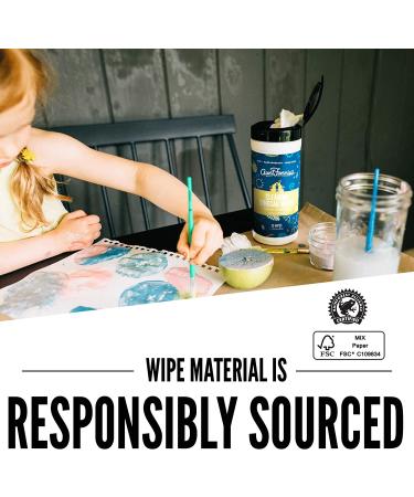 Aunt Fannie's Cleaning Vinegar Wipes - Bright Lemon (35 Wipes) | Eco-Friendly & Effective - Buy Online on GoSupps.com