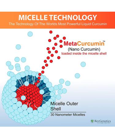 MetaCurcumin 277x Super Curcumin + TetraHydroCurcumin - Powerful Curcumin Supplement - Buy Online on GoSupps.com