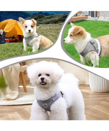 Adjustable Cat Dishes with Leash - Soft Lining Breathable Mesh & Reflective Outdoor Training Set XS (Gray) | International Shipping Available - Buy Online on GoSupps.com