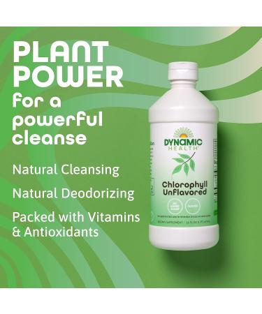 Dynamic Health Liquid Chlorophyll Unflavored 100 mg Sodium Copper Chlorophyllins with Alfalfa and Mulberry Leaves Plant Cleanse and Deodorizing No Added Sugar 16 Fl Oz 16 Fl Oz (Pack of 1) - Buy Online on GoSupps.com