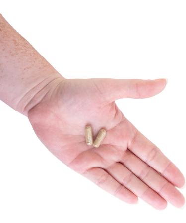 Kroeger Herb Products Olive Leaf Extract Capsules for Immune System Olive Leaf & Yarrow Supplement Vegetarian Non-GMO Gluten Free No Preservatives - 100 Capsules Made in USA - Buy Online on GoSupps.com