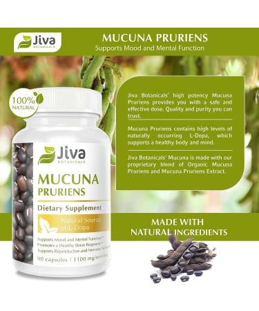 Mucuna Pruriens Capsules 1100mg - Dopamine Support Supplement - Velvet Beans with L-Dopa - 90 Capsules - Buy Online on GoSupps.com