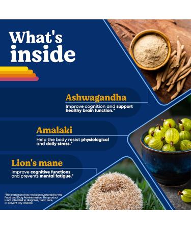 BRIGHTFULL Focus Sugar Free Drink Mix with Ashwagandha Lion s Mane & B Vitamins BlackBerry 21 Day Supply Sleep Aid with Melatonin & Herbs Cherry 32 Chewable Tablets - Buy Online on GoSupps.com