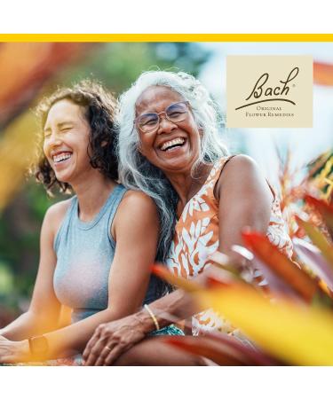 Bach Original Flower Remedies Gorse - Have Hope - Natural Homeopathic Flower Essence for Emotional Balance - Vegan Gluten Free Sugar Free - 20mL Dropper - Buy Online on GoSupps.com