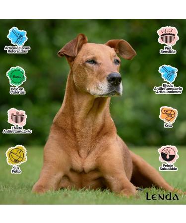 Lenda Senior Mobility Dog Food for Senior or Adult Dogs with Joint Pain | Hypoallergenic Food Rich in Turkey | Natural and Low in Fat Senior Dog Food - Buy Online on GoSupps.com