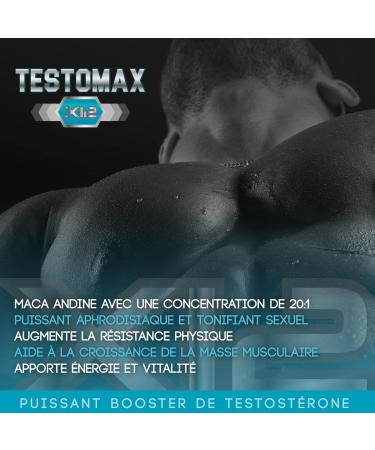 Powerful Pure Testosterone Booster | Andean Maca and Taurine | Boosts your intimate relationships | Increases muscle mass and physical performance | Fat-burning action | 120 caps. - Buy Online on GoSupps.com