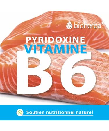 SPIRULINA Supplement - Capsules 360 mg 100 pcs Premium Superfood for Health and Vitality by BIOHERBA - Buy Online on GoSupps.com