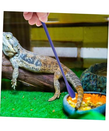 Levemolo 2pcs Pet Food Scoop Stainless Steel Lizard Scoop for Food Lizard Food Small Scoop 19.20X1.30X0.20CM Blue - Buy Online on GoSupps.com