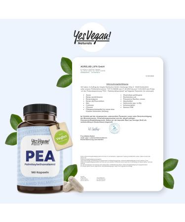 PEA Caspseln 300 mg (180 Capsules) - Palmitoylethanolamide 300 mg per hard capsule - Laboratory Tested - Vegan - High Dosed (1 x 180 Capsules) - Buy Online on GoSupps.com