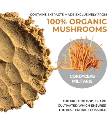 Real Mushrooms RealBoost (60ct) Lions Mane (120ct) & Cordyceps Mushroom Powder & Capsules Bundle - Mushroom Supplement for Energy Vitality Endurance & Cognition - Vegan Non-GMO - Buy Online on GoSupps.com