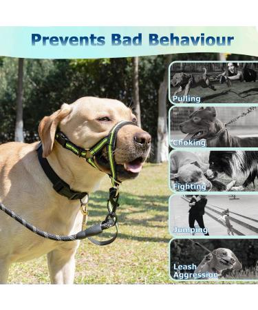 Barkeless Muzzle Bleine for Heavy Pullers | Stylish Halter for Medium & Large Dogs | Gentle No Pull Harness | Safe Dog Walking Solution in Medium Green - Buy Online on GoSupps.com
