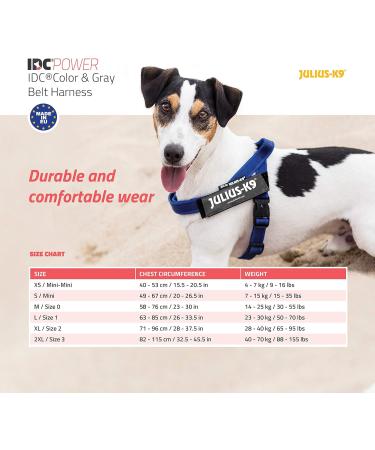 Julius-K9 Color & Gray Belt Harness XS/Mini-Mini | Red-Grey | International Shipping - Buy Online on GoSupps.com